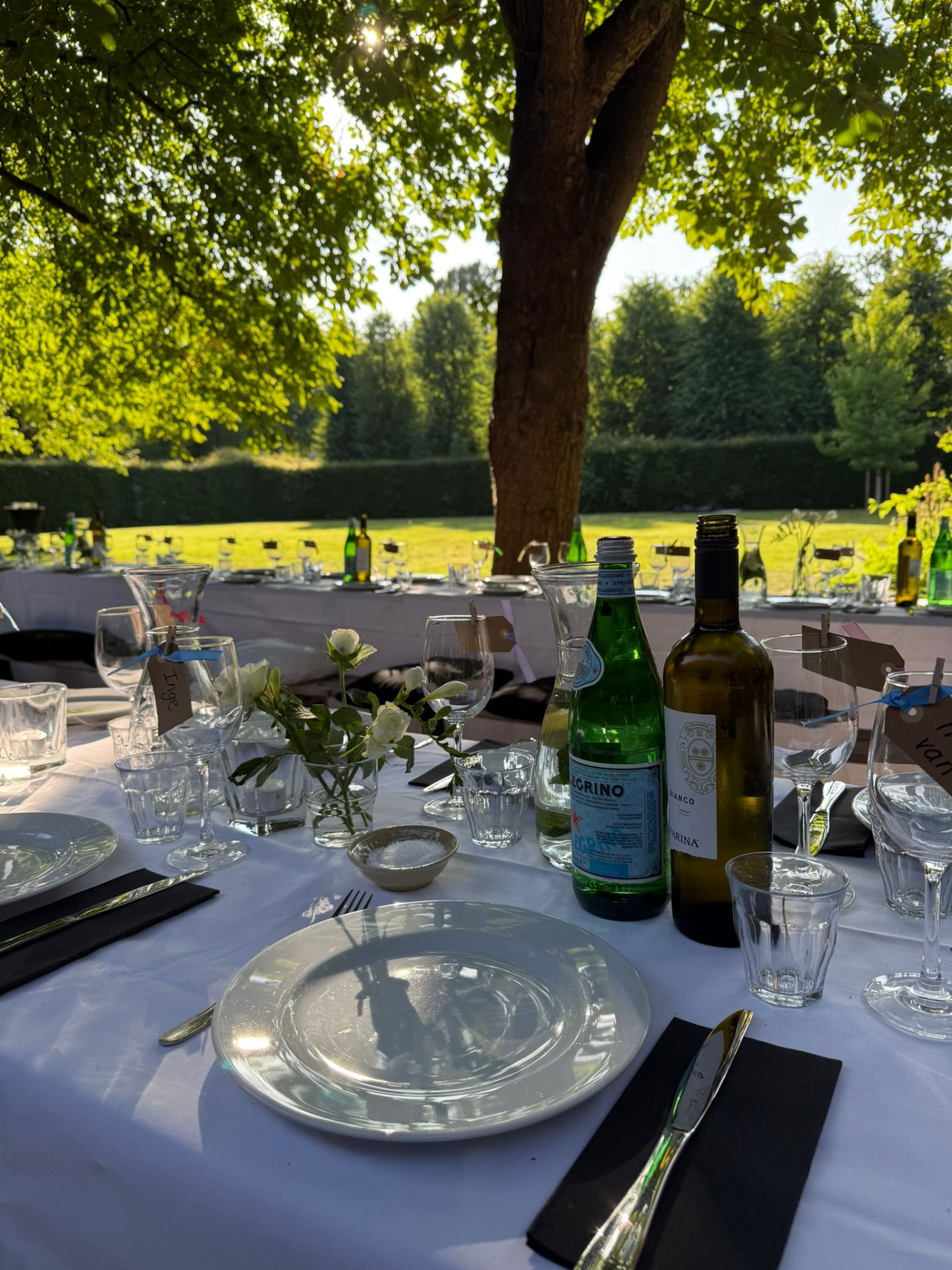 Feestelijk gedekte lange tafel onder de bomen in de tuin bij zonlicht