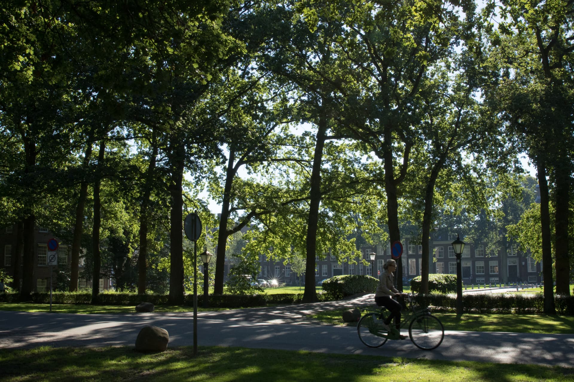 Fietser onder de bomen op het plein met monumentale panden op de achtergrond