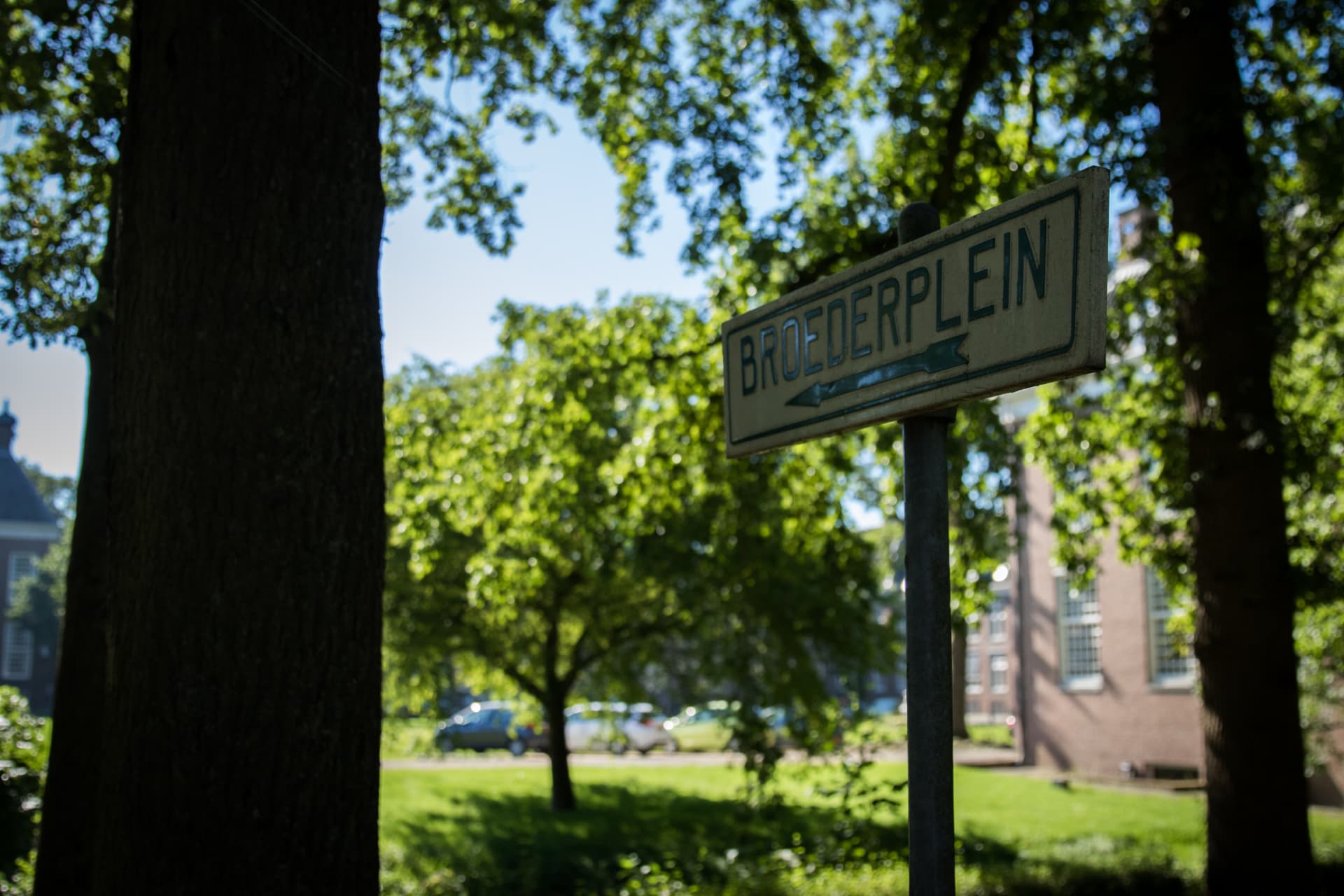 Straatnaambord Broederplein tussen de bomen in de zon