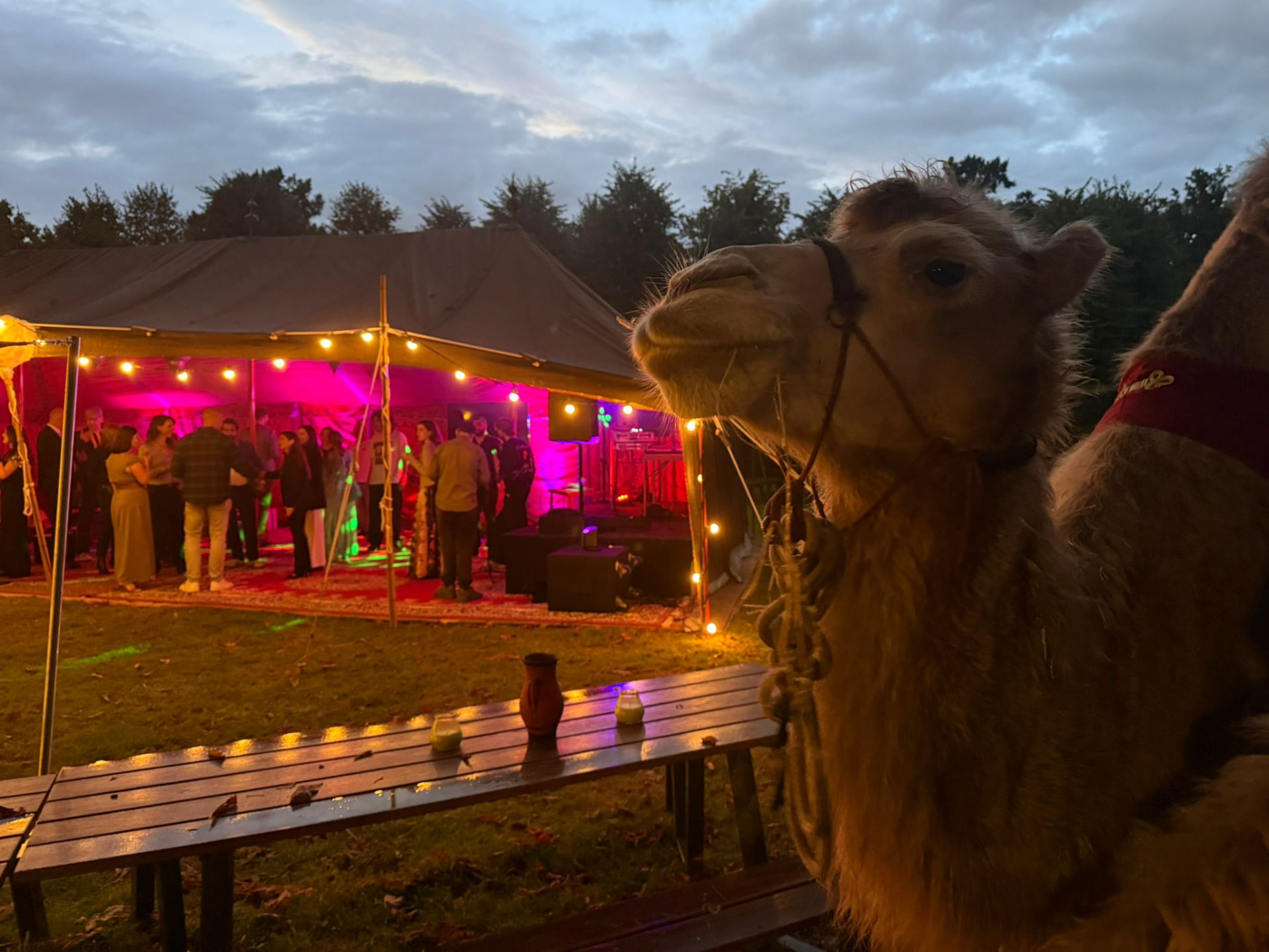 Feest in een sfeervol verlichte tent in de avond