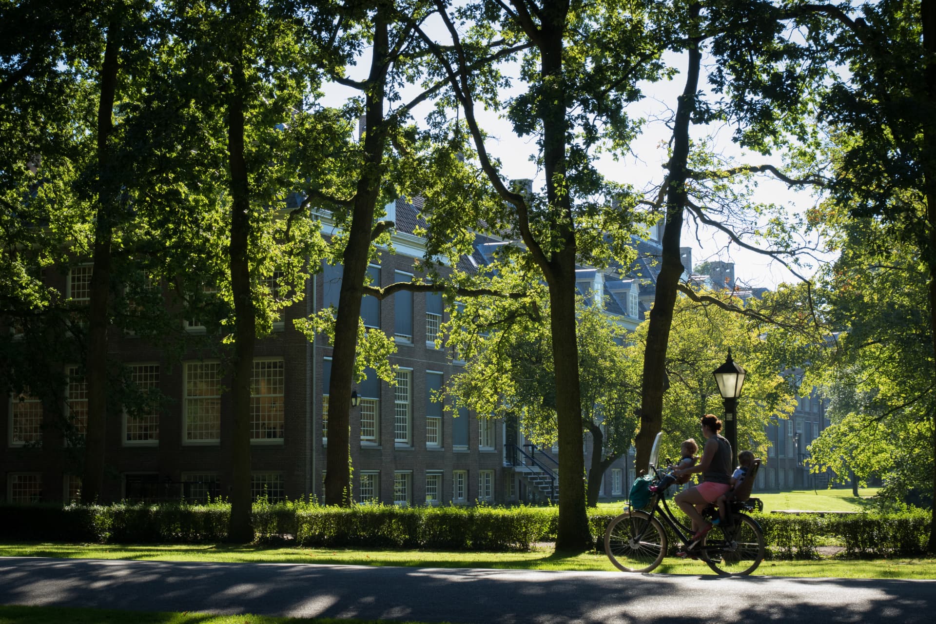 Zonnig plein met hoge bomen langs de historische panden